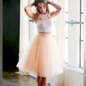 The Wendy - Blush 25" Length Tulle Skirt